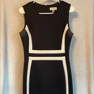 Calvin Klein Black and White Women's Fitting Dress